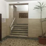 Le Vibrazioni Rome